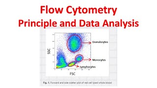 Flow cytometry Tutorial | Flow Cytometry Data Analysis | Flow cytometry Gating