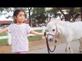 VLOG Pattaya Sheep Farm got on a horse for the first time