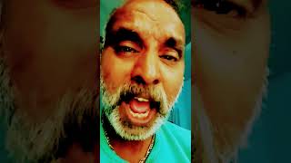 Download Lagu Pachamala Poovu#love #song #music #shortsvideo #ilayarajamelodyhits #indian #yt #duet #lovesong MP3