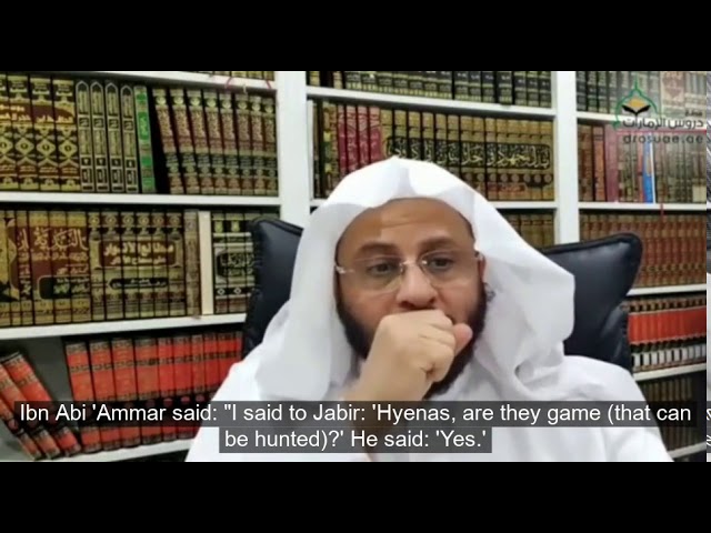التفصيل في مسألة حكم أكل لحم الضبع؟ | الشيخ د. عزيز فرحان
