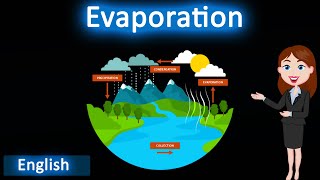Evaporation || 3D animated explanation || class 9th || Matter in our surrounding ||
📱 Download our App : https://play.google.com/store/apps/details?id=com.visuallearning247.app
Get Complete Course : https://www.visuallearning.in
Join Telegram for Notes, NCERT solution, PYQs : https://t.me/visuallearning3D
Evaporation || 3D animated explanation || class 9th || Matter in our surrounding ||
Evaporation is a process in which a liquid turns into a vapor or gas. This occurs at the surface of the liquid, and the transition from the liquid phase to the gaseous phase is driven by the absorption of heat energy from the surroundings.
This channel provides educational videos for science and technology for school board education.
Animated videos for school education available in both Hindi and English. Evaporation || 3D animated explanation || class 9th || Matter in our surrounding ||