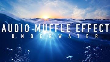 How To MUFFLE Audio in LumaFusion