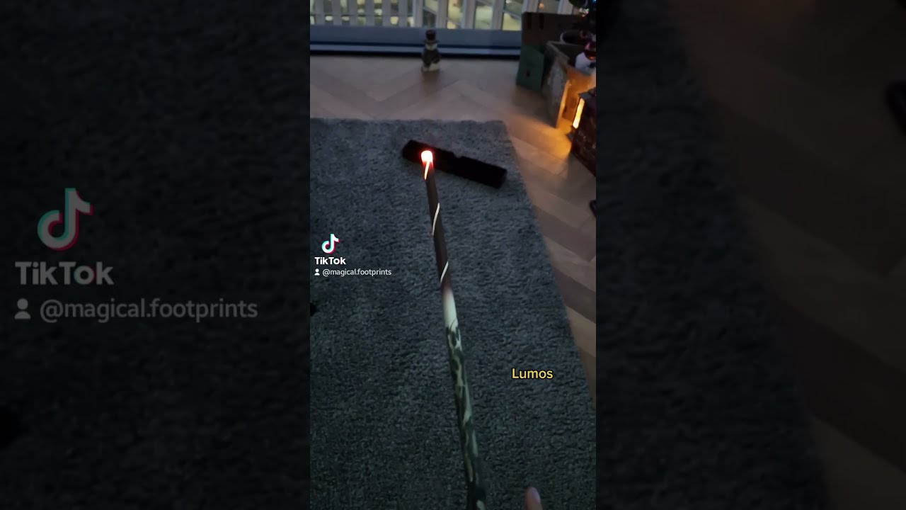 The Harry Potter Magic Caster Wand Shorts