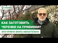 САМОЕ ЛУЧШЕЕ время для заготовки ЧЕРЕНКОВ. Как правильно резать и хранить до весенних прививок?