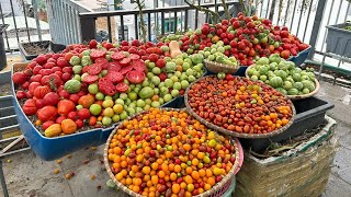 Harvesting Tomatoes - How to Choose Sweet Tomato Varieties