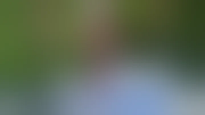 A Black student was found hanging from a tree. Police say there's no sign of foul play