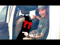 The MOST Affordable Organizer for ANY Vehicle!