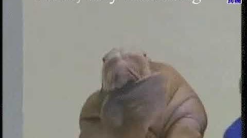 Когда смотришь новости