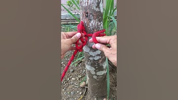 Incredible Loop Knots With Quick Release #knotting  #knottutorial  #knottying