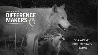 PROMO S2 Ep7: Gaining Trust from an Alaskan Sea Wolf — An Update on "Dark Wind Howling"