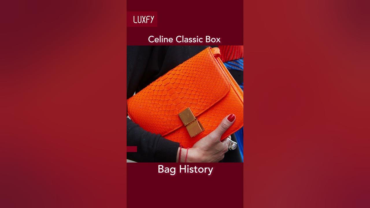 Celine Classic Box Bag History #shorts 