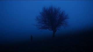 it's 3am, go to sleep.