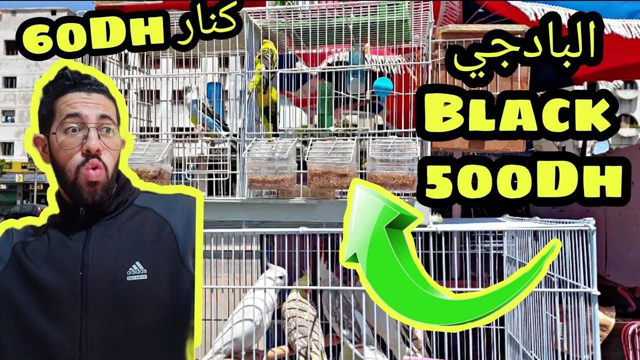 أثمنة ممتازة كانت في أكبر سوق في المغرب😯💚كنار 60Dh بلدي😲و البادجي Black ب 500Dh بوليداتها😯🔥