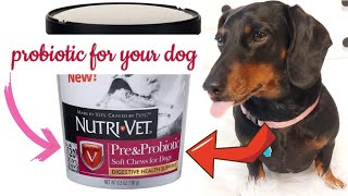 Unboxing:Nutri-vet Probiotic soft chews for dog/Digestive health support/120 soft chews!/review! screenshot 2