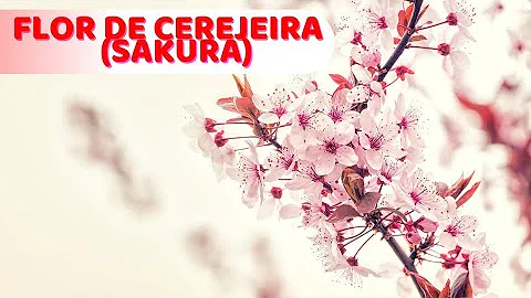 Qual é o significado da cereja?