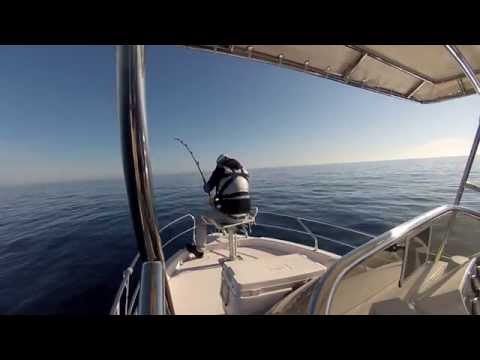Drifting al Tonno Rosso in Sicilia (TUNA FISHING)