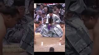 Hoshoryu VS Takayusu Haru Basho 2026 Sumo #sumo #sport #japan #сумо #ufc #япония #mma #wwe #борьба