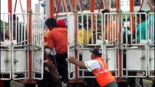♞♞♞♞♞ Horses Run Wild at the Starting Gate, Special Horse Race for the Sultan HB X Cup