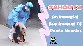 An Essential Requirement Of Panda Nannies Ipanda 