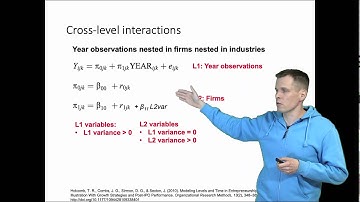Cross-level interactions