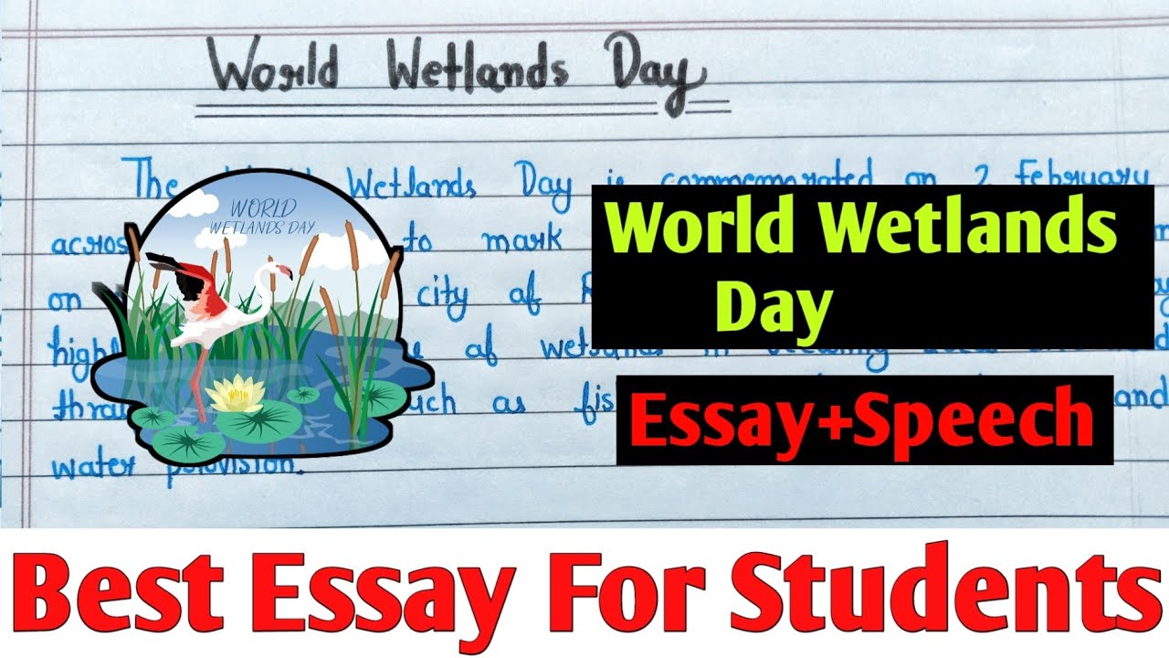 essay on wetland conservation