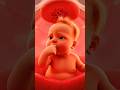 How Embryo Develops To Fetus #animation #human #insight #shortsfeed #shorts