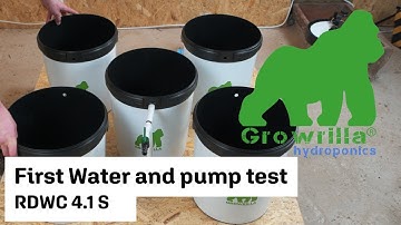 RDWC Hydroponics system First water and Pump test #shorts