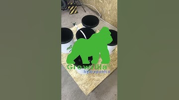 RDWC Hydroponics system First water and Pump test #shorts