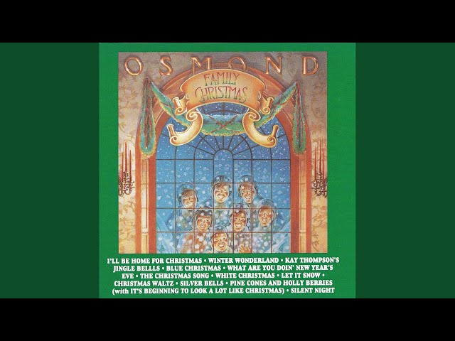 The Osmonds - Winter Wonderland