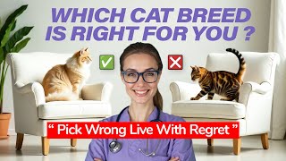 WHICH CAT BREED IS RIGHT FOR YOU ❤️🐈 Pick Wrong Live With Regret