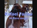 Rafael farina  mi perro amigo