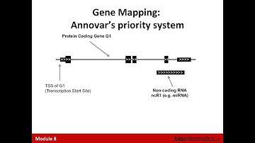 Variant Annotation and Prioritization