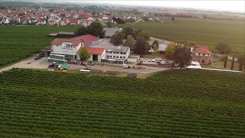 Mini CHP for one of the biggest vineyards in Germany