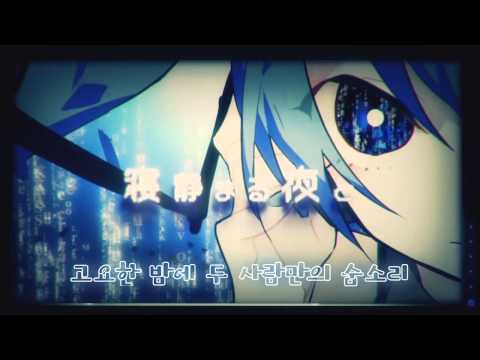 [Cover] VORA - ヒビカセ(울려퍼져) [VOCALINA/보카리나]