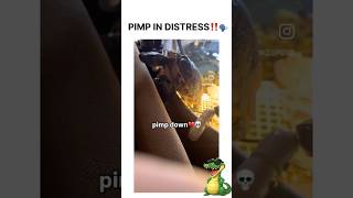 I Need A 100 Dollars