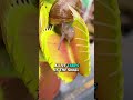 Snail vs Venus Flytrap