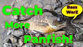 Hot Panfish Bank Fishing Summer Time!