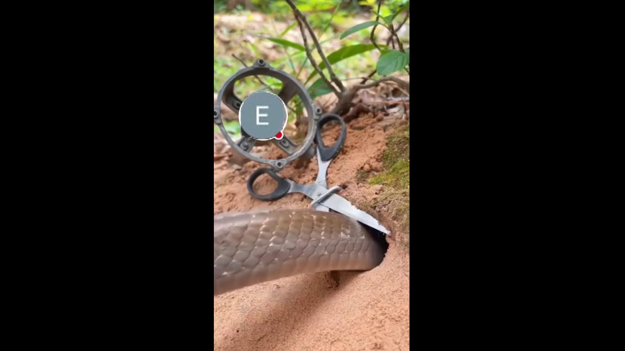 СТРИМ ОНЛАЙН ШОРТС ИГРАЕМ