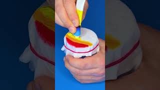 Let's Make Rainbow Bubbles! 🫧 It's a Super Fun Trick! 🌈
