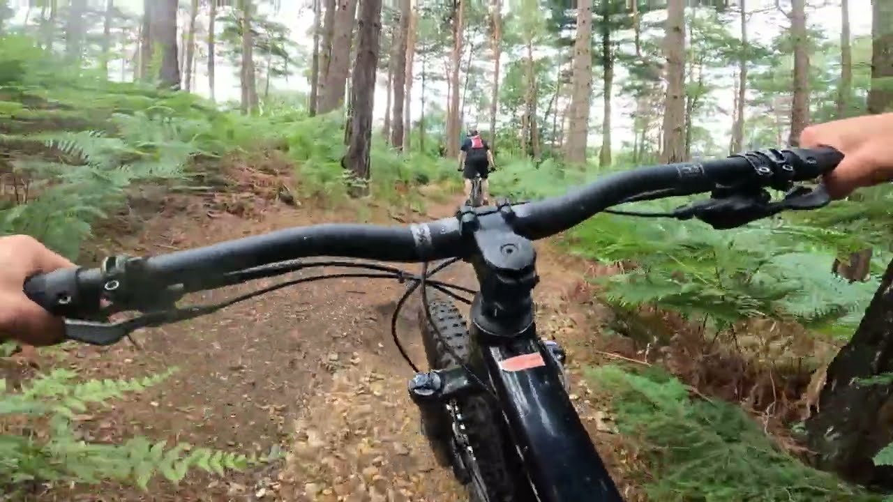 Gościnnie w  Swinley Forest MTB trails