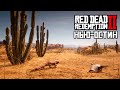 Документальный фильм Red Dead Redemption 2: НЬЮ-ОСТИН