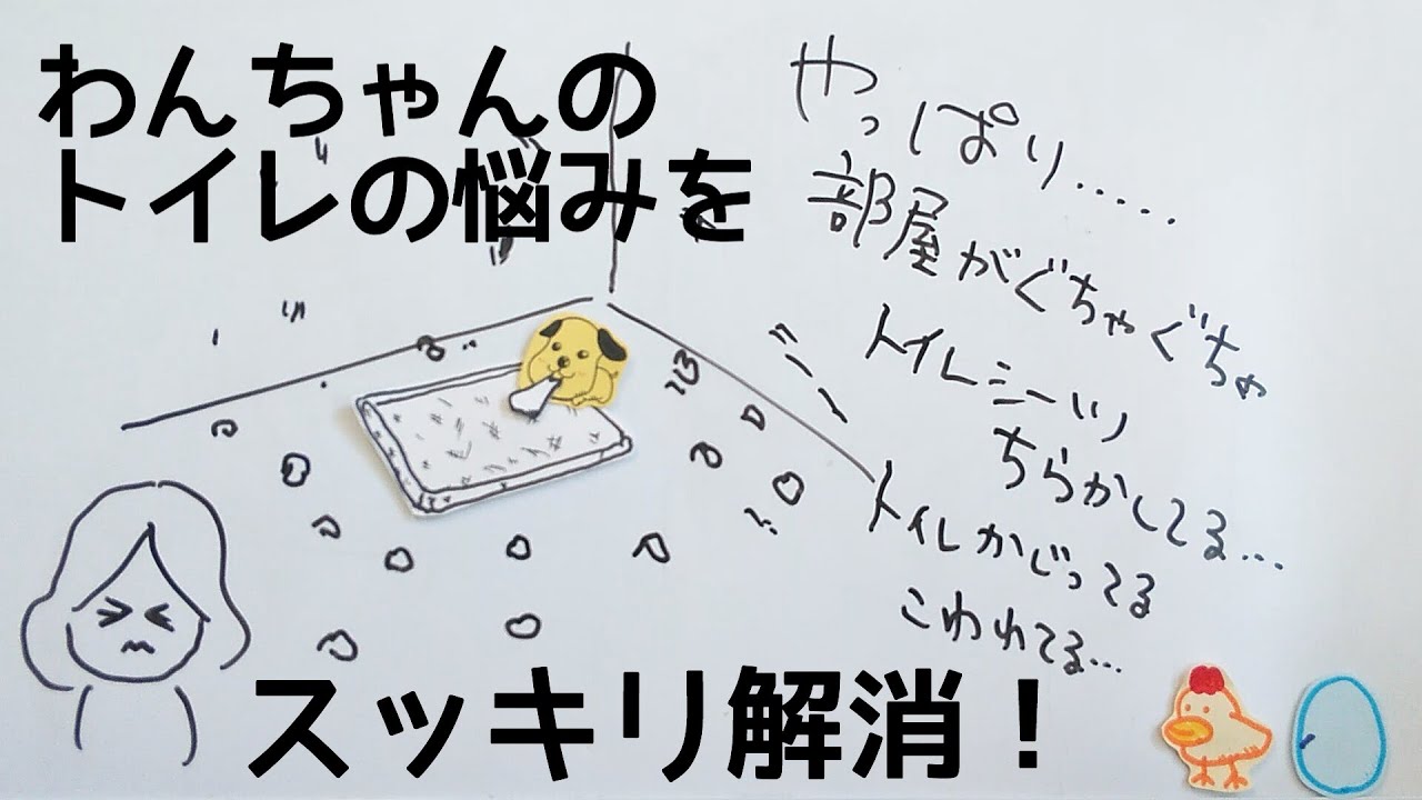 留守番中も安心 犬用ステンレス製トイレトレイ Youtube
