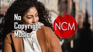 Spring In My Step – Silent Partner - No Copyright Music