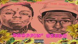 Lil Wayne Is Droppin’ Seeds 5 Times With Tyler The Creator (432hz)