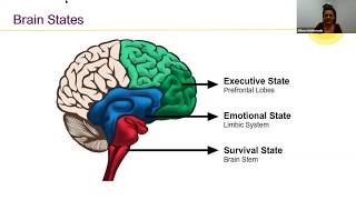 Social and Emotional Learning (SEL) Program: Summer 2020