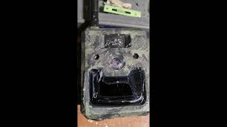 ICU Lite 4G Wireless Trail Camera 12MP Review