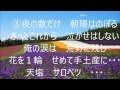 おとこの街道!氷川きよし!♪cover