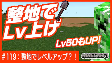 整地したらチートアイテムがザックザク マイクラ Mp3