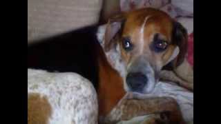 Capture 20131003 1
