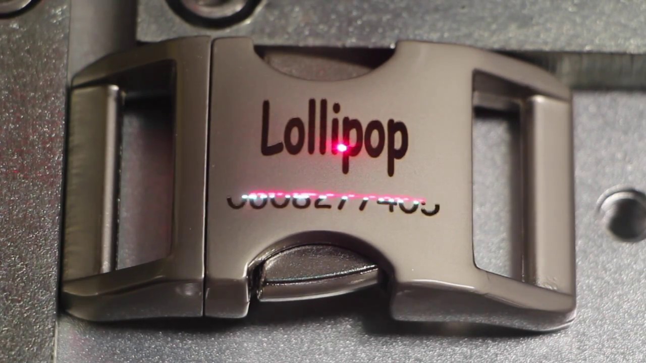 Personalized Dog Collars Laser Buckle Engraving YouTube